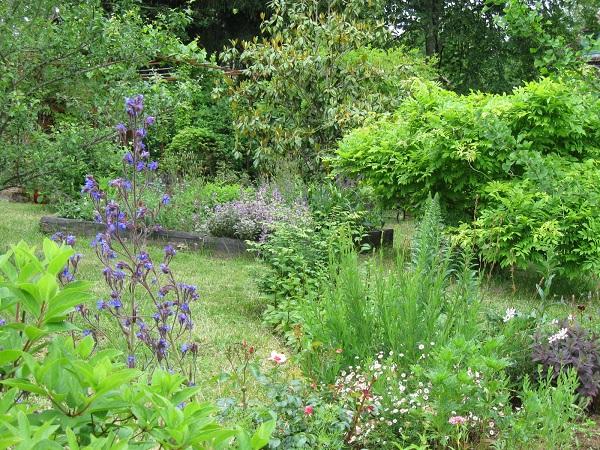 Le Jardin de Jan, Le Mortier, 19500 Branceilles -5
